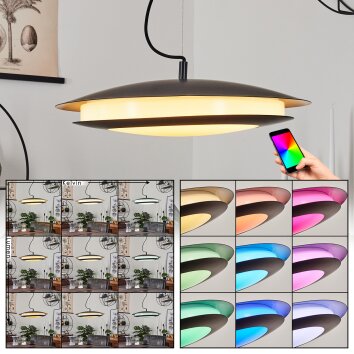 Ittingen Lámpara Colgante LED Negro, 1 luz, Cambia de color