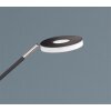 Fischer & Honsel Dent Lámpara de Pie LED Negro, 2 luces