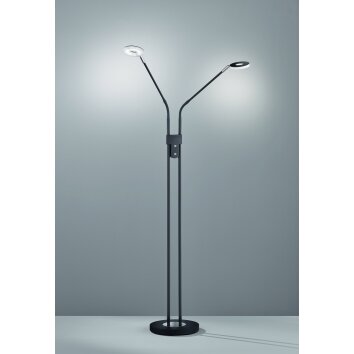 Fischer & Honsel Dent Lámpara de Pie LED Negro, 2 luces