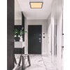 Globo JESSY Lámpara de Techo LED Negro, 1 luz