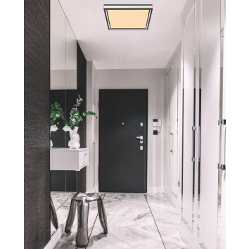 Globo JESSY Lámpara de Techo LED Negro, 1 luz