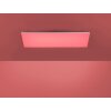 Paul Neuhaus FRAMELESS Lámpara de Techo LED Blanca, 1 luz, Mando a distancia, Cambia de color