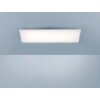 Paul Neuhaus FRAMELESS Lámpara de Techo LED Blanca, 1 luz, Mando a distancia, Cambia de color