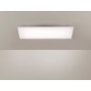 Paul Neuhaus FRAMELESS Lámpara de Techo LED Blanca, 1 luz, Mando a distancia, Cambia de color