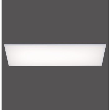 Paul Neuhaus FRAMELESS Lámpara de Techo LED Blanca, 1 luz, Mando a distancia, Cambia de color