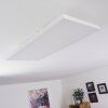 Buenaventura Lámpara de Techo LED Blanca, 1 luz, Mando a distancia, Cambia de color