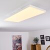 Buenaventura Lámpara de Techo LED Blanca, 1 luz, Mando a distancia, Cambia de color