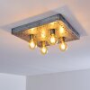 Octoraro Lámpara de Techo Plata, 4 luces