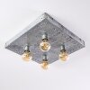 Octoraro Lámpara de Techo Plata, 4 luces
