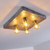 Octoraro Lámpara de Techo Plata, 4 luces