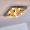 Octoraro Lámpara de Techo Plata, 4 luces