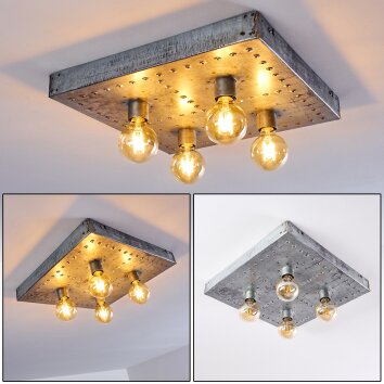 Octoraro Lámpara de Techo Plata, 4 luces