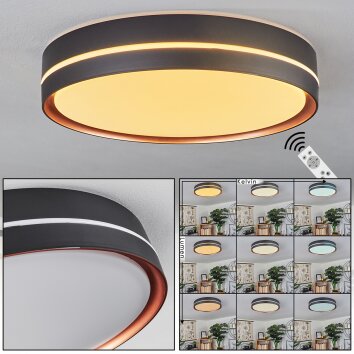Cachalot Lámpara de Techo LED Cobre, Negro, 1 luz, Mando a distancia, Cambia de color