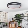 Cachalot Lámpara de Techo LED Cobre, Negro, 1 luz, Mando a distancia, Cambia de color