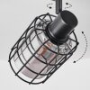 Lungernsee Lámpara de Techo Negro, 4 luces
