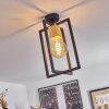Bergo Lámpara de Techo Negro, 1 luz