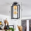 Bergo Lámpara de Techo Negro, 1 luz