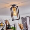 Bergo Lámpara de Techo Negro, 1 luz