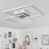 Lithgow Lámpara de Techo LED Plata, 2 luces, Mando a distancia, Cambia de color
