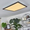 Wilderswil Lámpara de Techo LED Blanca, 1 luz