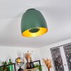 Viking Lámpara de Techo Verde, 1 luz