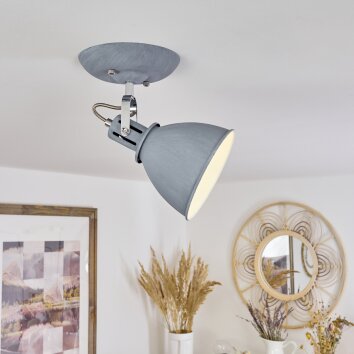 Koppom Lámpara de Techo Cromo, Gris, 1 luz