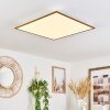 Barasat Lámpara de Techo LED Blanca, 1 luz