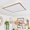 Barasat Lámpara de Techo LED Blanca, 1 luz