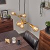 Talmage Lámpara Colgante Latón, 5 luces