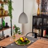 Stettler Lámpara Colgante Negro, 1 luz