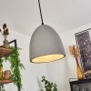 Stettler Lámpara Colgante Negro, 1 luz