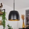 Viking Lámpara Colgante Negro, 1 luz