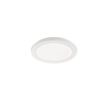 Fischer & Honsel Gotland Lámpara de Techo LED Blanca, 1 luz