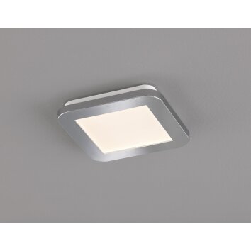 Fischer & Honsel Gotland Lámpara de Techo LED Plata, 1 luz
