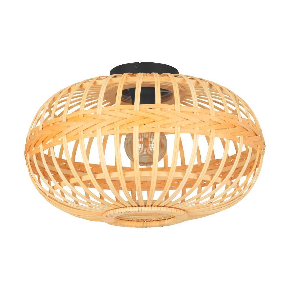 Eglo AMSFIELD Lámpara de Techo Negro, 1 luz main product photo