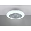 Reality Stralsund Ventilador LED Titanio, 1 luz, Mando a distancia