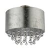 Globo Amy Lámpara de Techo Plata, 1 luz