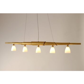 Holländer INNOVAZIONE Lámpara suspendida dorado, 5 luces