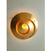 Holländer SNAIL ONE Lámpara de techo dorado, 3 luces