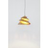 Holländer SNAIL Lámpara Colgante dorado, 1 luz