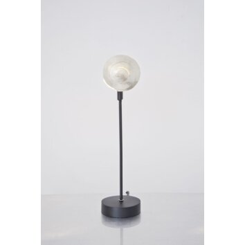 Holländer PICCOLA NAUTILO Lámpara de mesa Negro, Plata, 1 luz