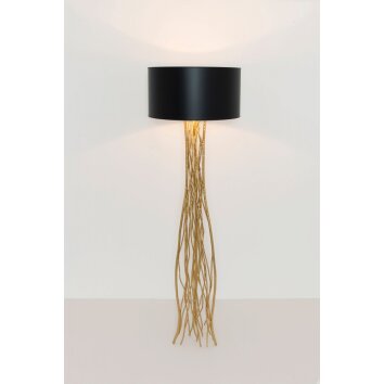 Holländer CAPRI Lámpara de mesa dorado, 1 luz