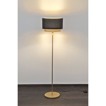 Holländer MATTIA Lámpara de pie dorado, 1 luz