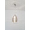 Holländer COLIBRI Lámpara suspendida Plata, 1 luz
