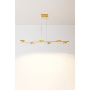Holländer SIMULATORE Lámpara Colgante LED dorado, 6 luces
