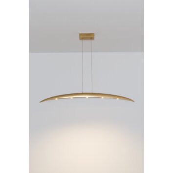 Holländer COSTELLAZIONE Lámpara Colgante LED dorado, 5 luces