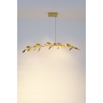 Holländer RISO Lámpara Colgante dorado, 11 luces