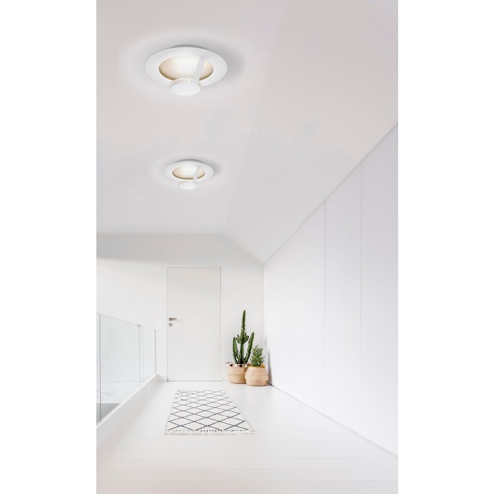 Grossmann FLAT Lámpara de Techo LED Marrón, dorado, Blanca, 1 luz main product photo