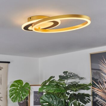 Deroche Lámpara de Techo LED dorado, Negro, 1 luz