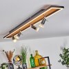 Deadwood Lámpara de Techo LED Negro, Blanca, 5 luces